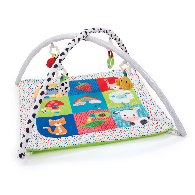 ELC - Blossom Farm Playmat & Arch