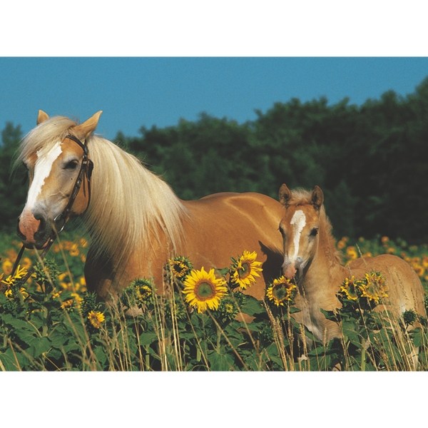 Ravensburger - Horse Happiness Puzzle 200 pieces