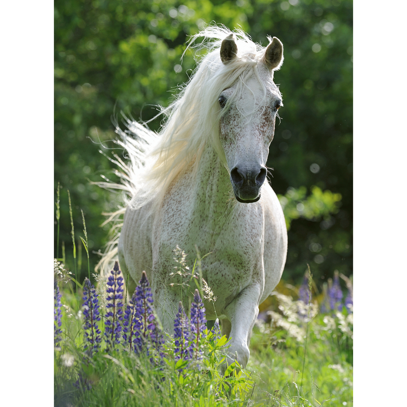 Ravensburger - Horse in Flowers Puzzle 100pc