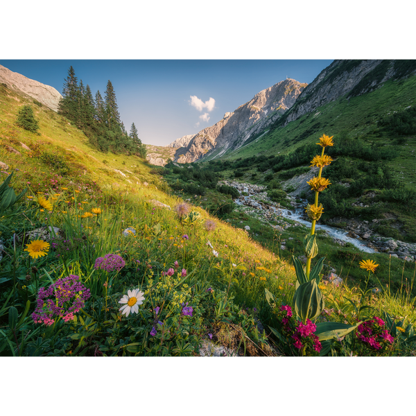 Ravensburger - Magical Valley 1000 pieces