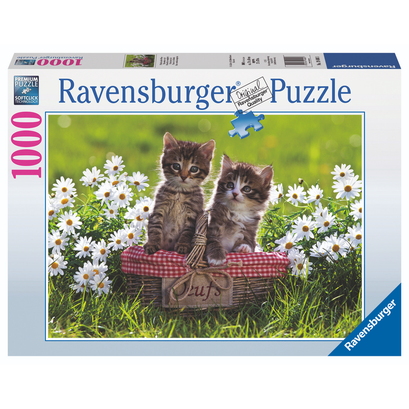 Ravensburger - Picnic in the Meadow Puzzle 1000 pieces