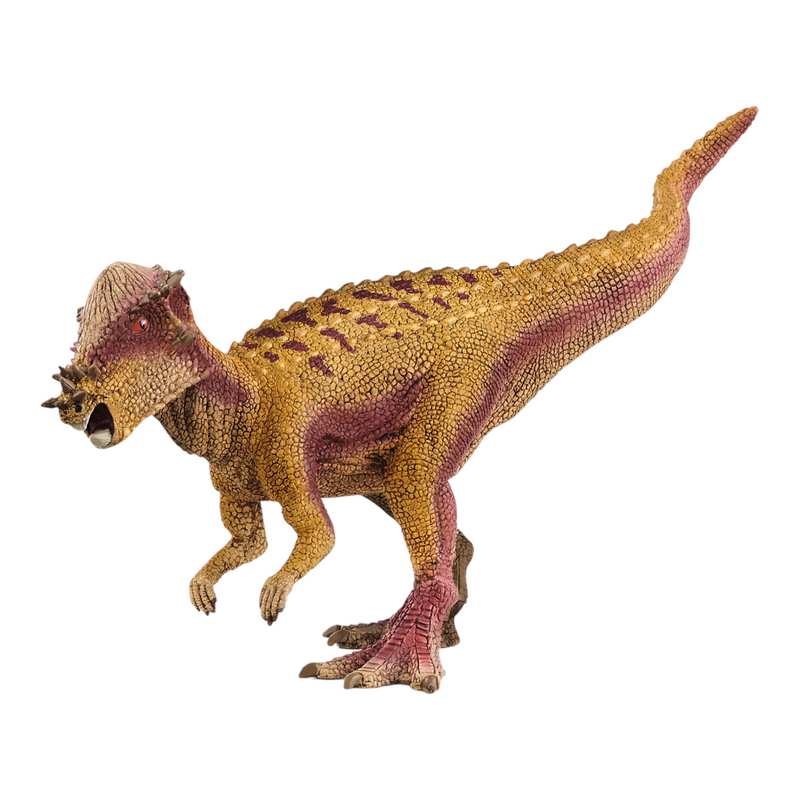 Schleich - Pachycephalosaurus